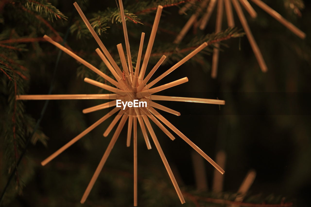 CLOSE-UP OF FIREWORKS