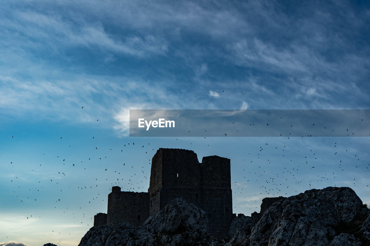 Low angle view of birds flying over buildings against sky