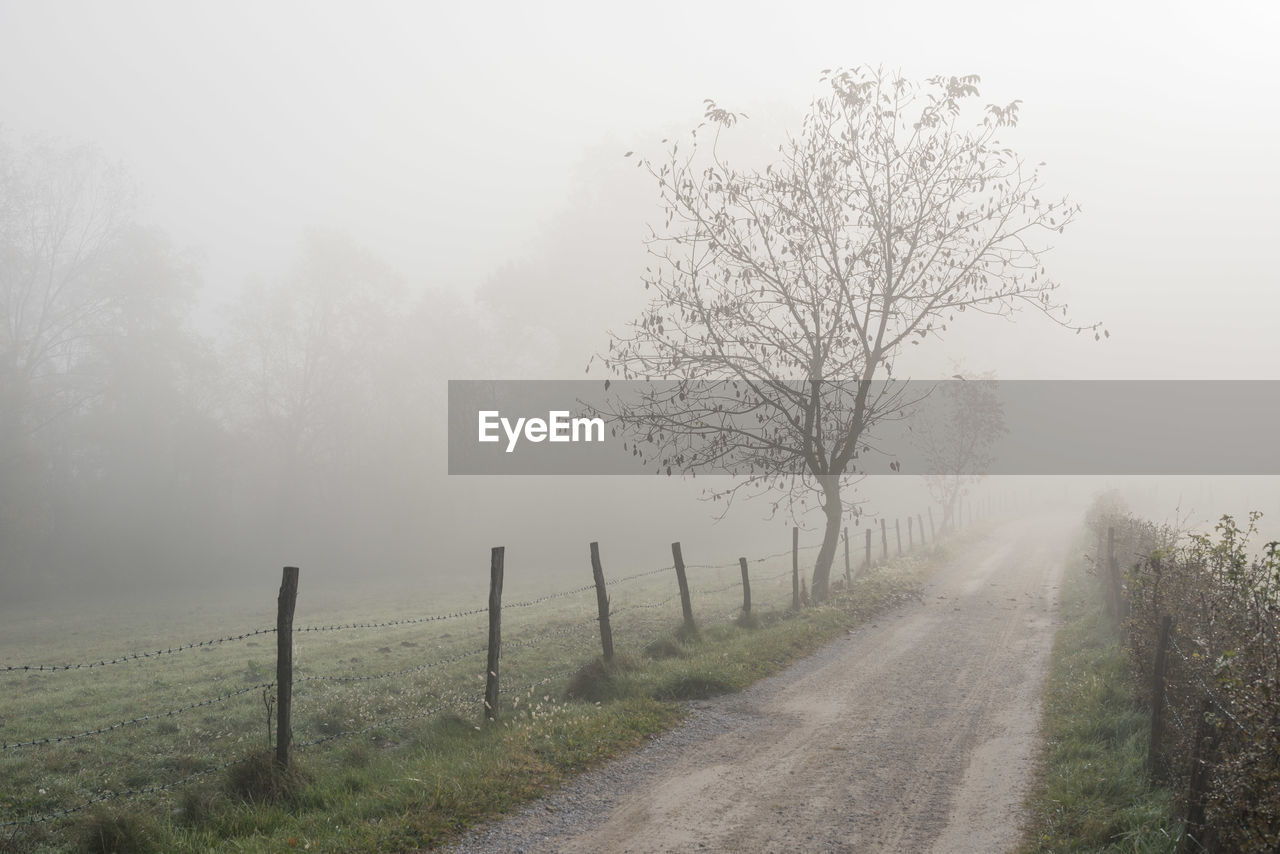 Empty dirt road by fence during foggy weather