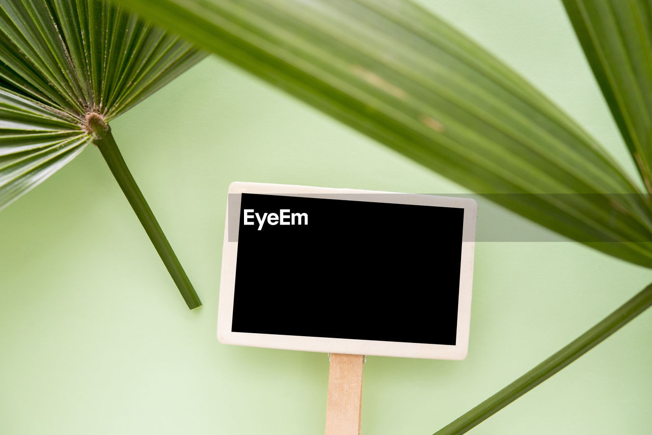 Close-up of placard and palm leaves against green background