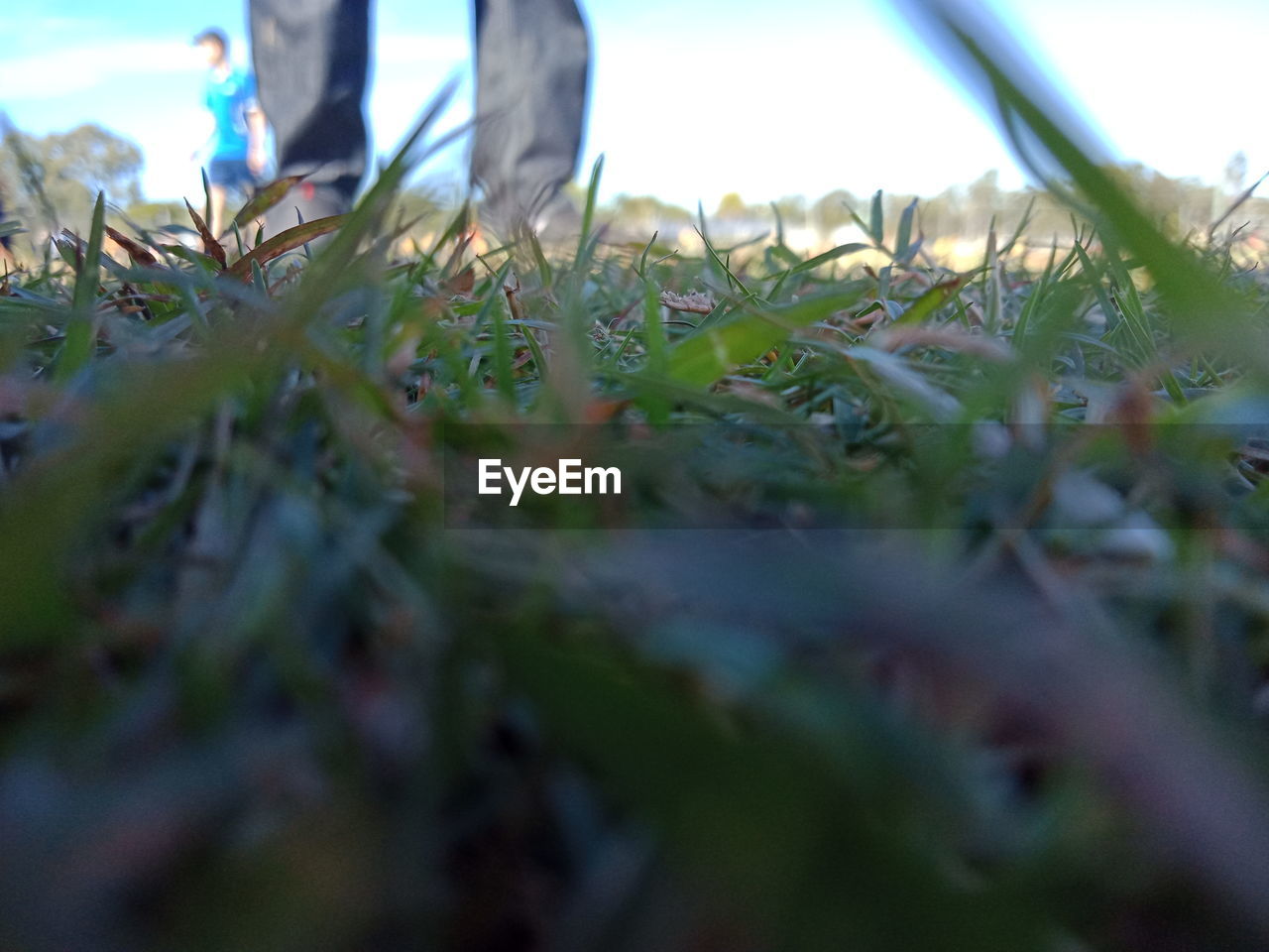 LOW SECTION OF PERSON STANDING ON GRASS