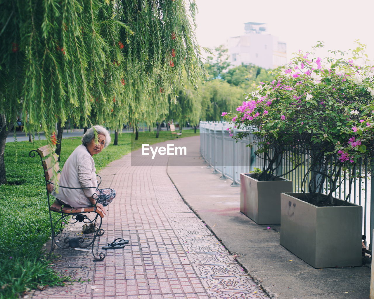 Portrait of senior woman sitting on bench in park