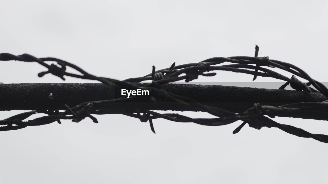 CLOSE-UP OF BARBED WIRE AGAINST SKY