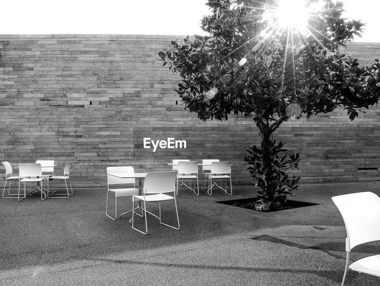 Empty chairs and table against trees