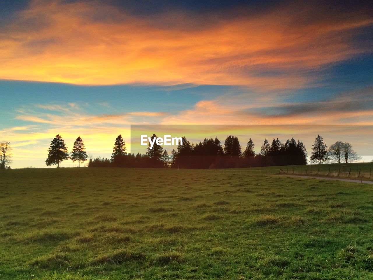 Scenic view of grassy field against sky