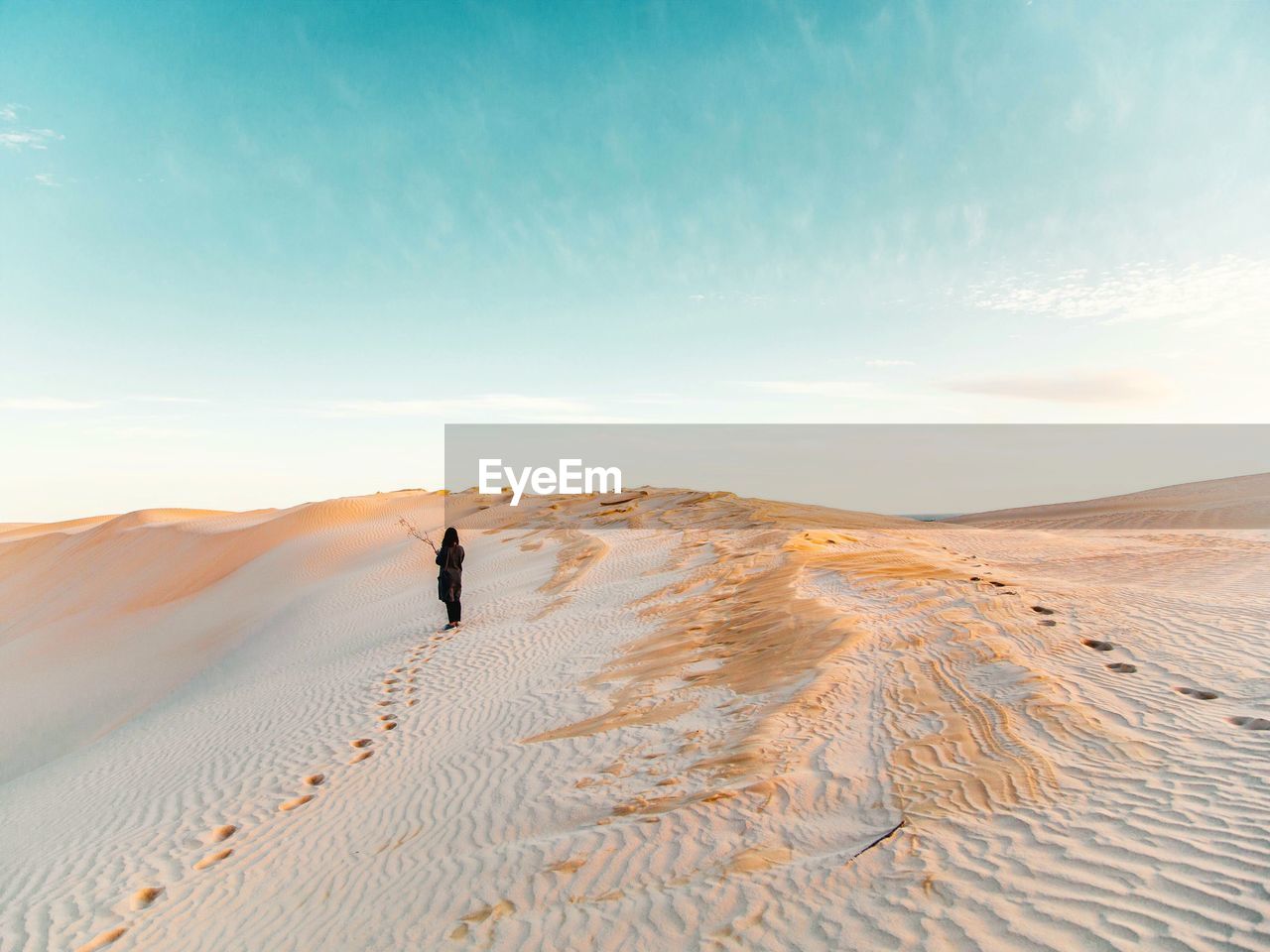 Rear view of man standing in desert against sky