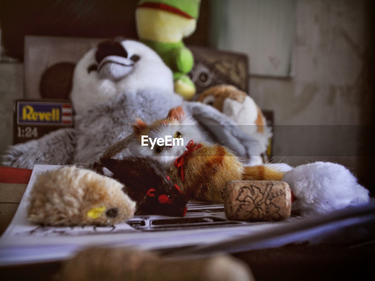 VIEW OF A CAT RESTING IN A TOY