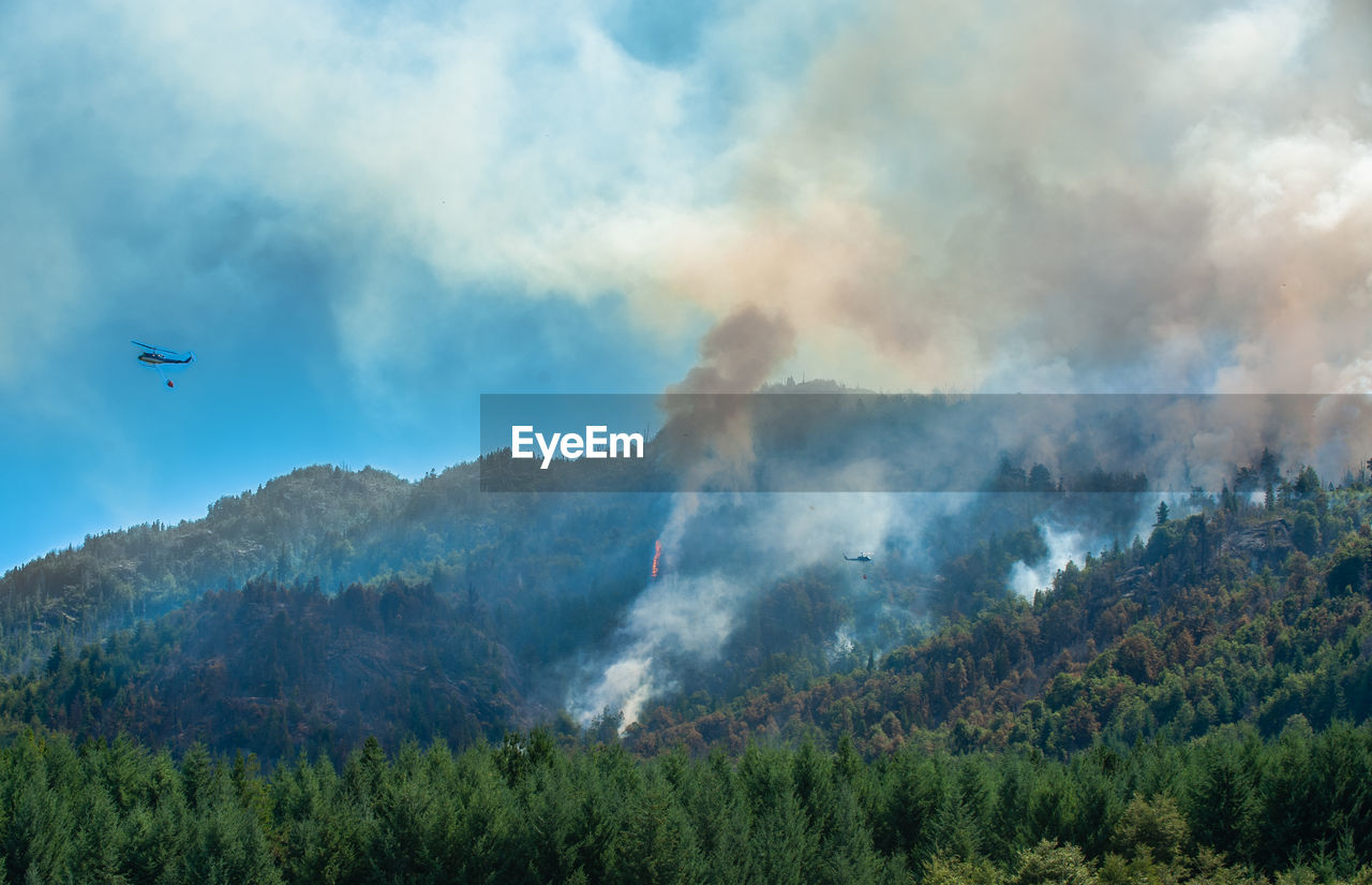 Low angle view of forest fire against blue sky