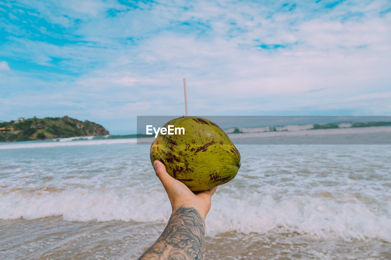 Cropped hand holding coconut at beach