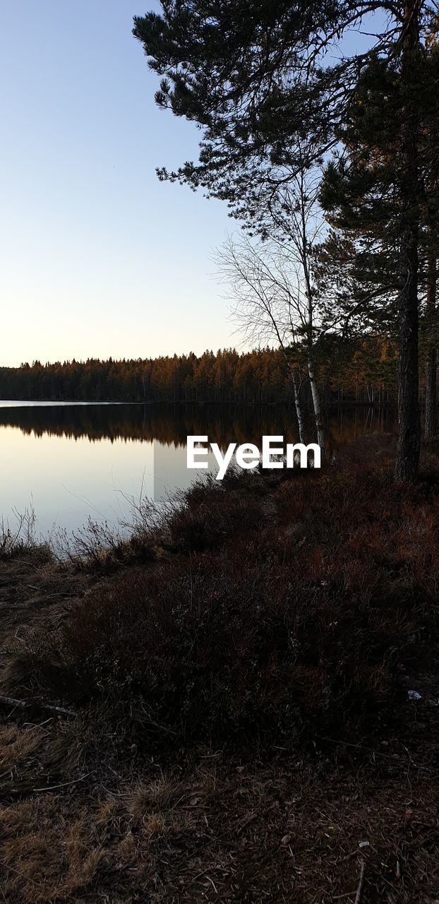 SCENIC VIEW OF LAKE AGAINST SKY AT FOREST