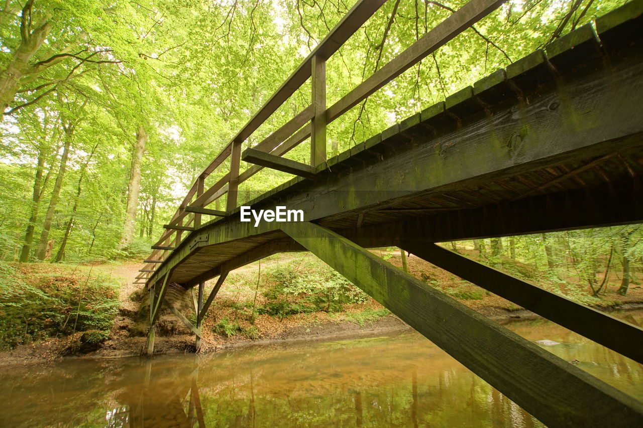 Low angle view of bridge in forest