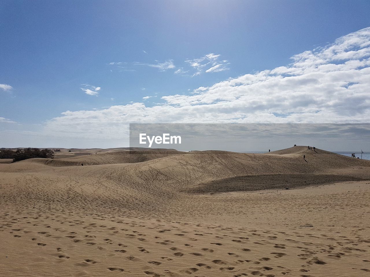 Scenic view of desert against sky