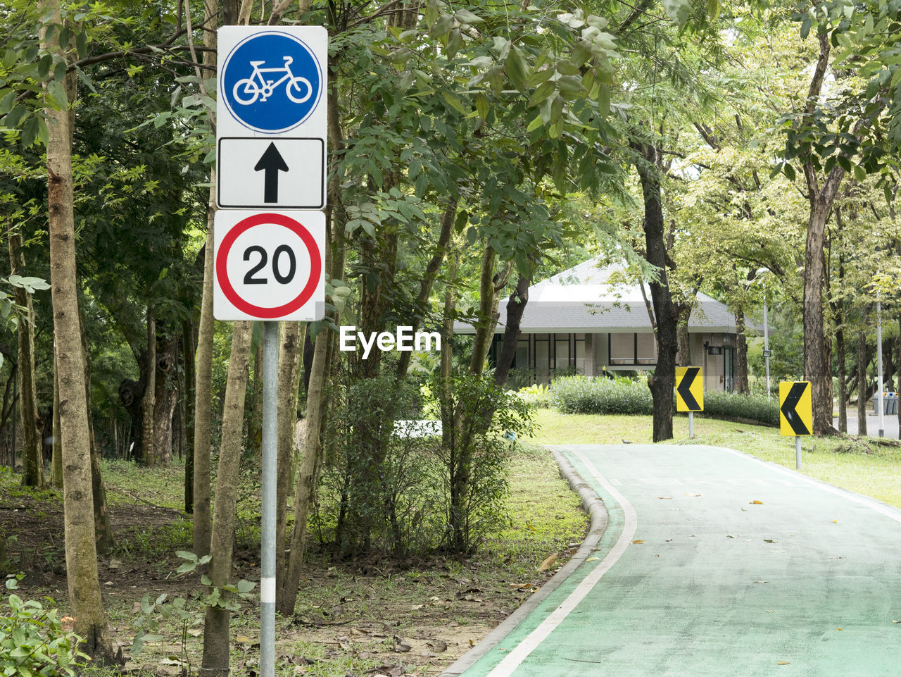 ROAD SIGN BY TREES AGAINST PLANTS