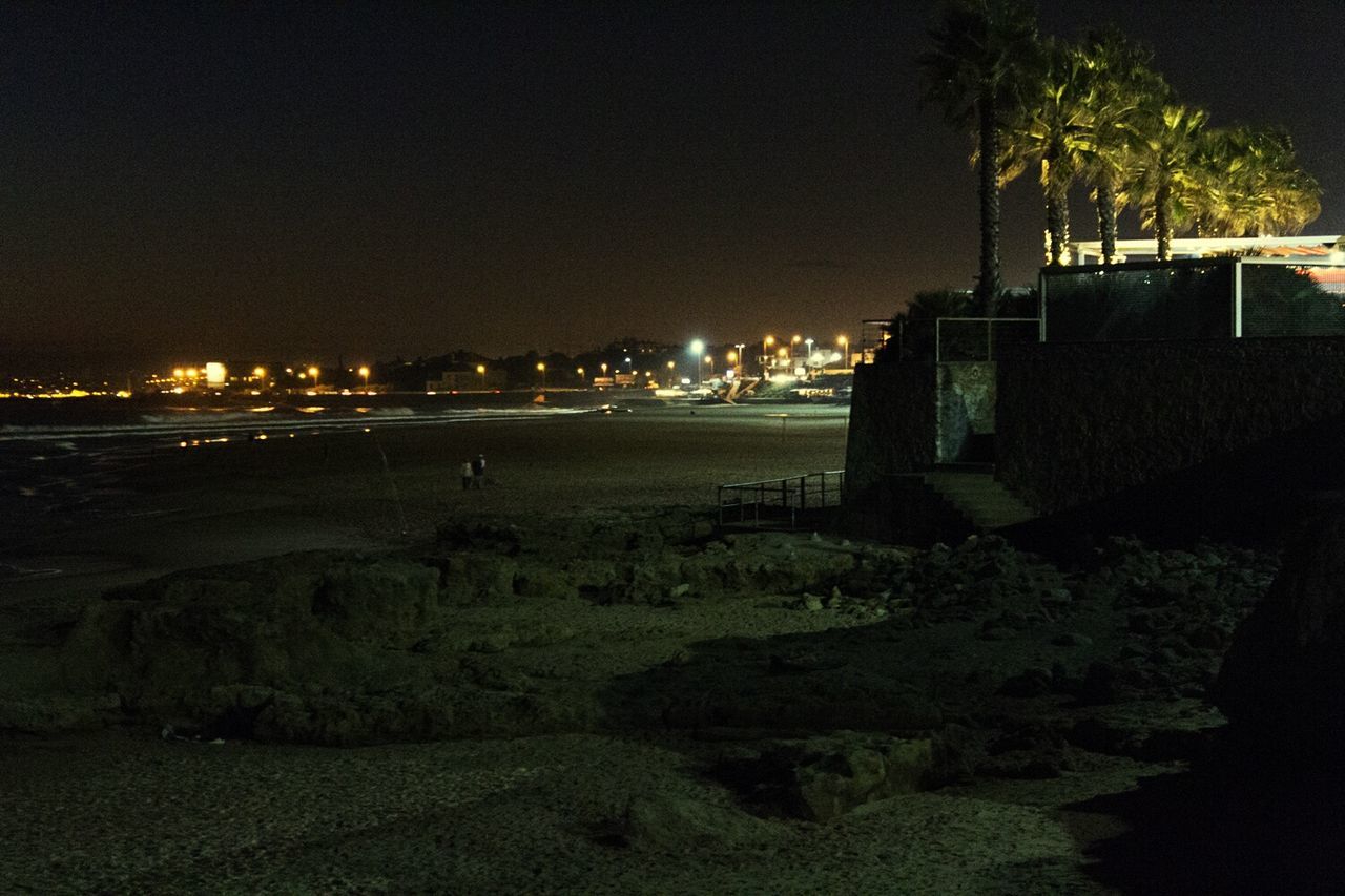 Palm trees by beach and illuminated city against clear sky
