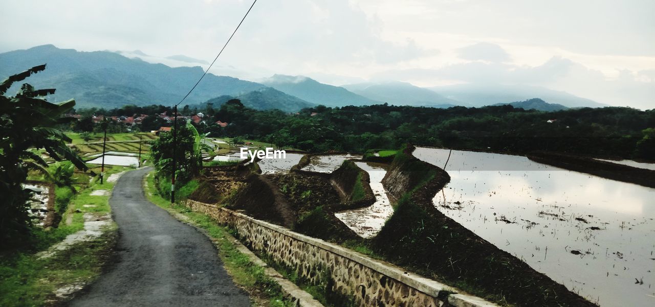 PANORAMIC SHOT OF ROAD BY TREES AGAINST SKY