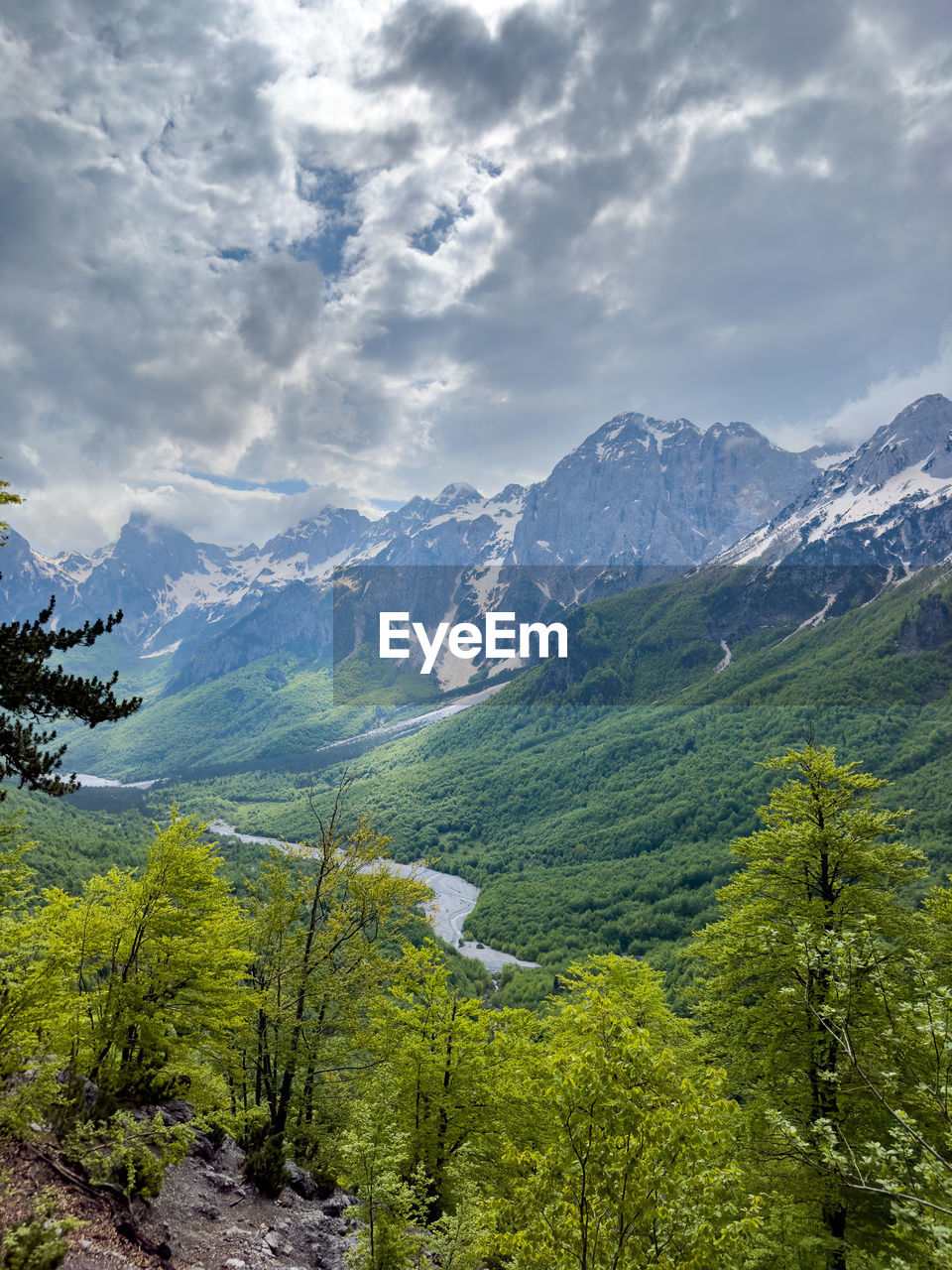 mountain, nature, scenics - nature, environment, beauty in nature, landscape, sky, cloud, tree, plant, land, mountain range, forest, coniferous tree, pinaceae, pine tree, wilderness, pine woodland, travel, tranquility, no people, tranquil scene, meadow, travel destinations, snow, valley, non-urban scene, green, cold temperature, outdoors, tourism, winter, idyllic, mountain peak, day, woodland, environmental conservation, activity, rural scene, snowcapped mountain, summer, social issues, ridge, vacation