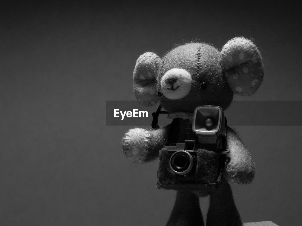 Close-up of teddy bear with cameras against gray background