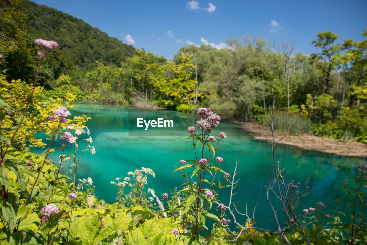 Scenic view of lake against blue sky