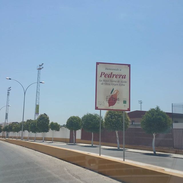 ROAD SIGN AGAINST TREES