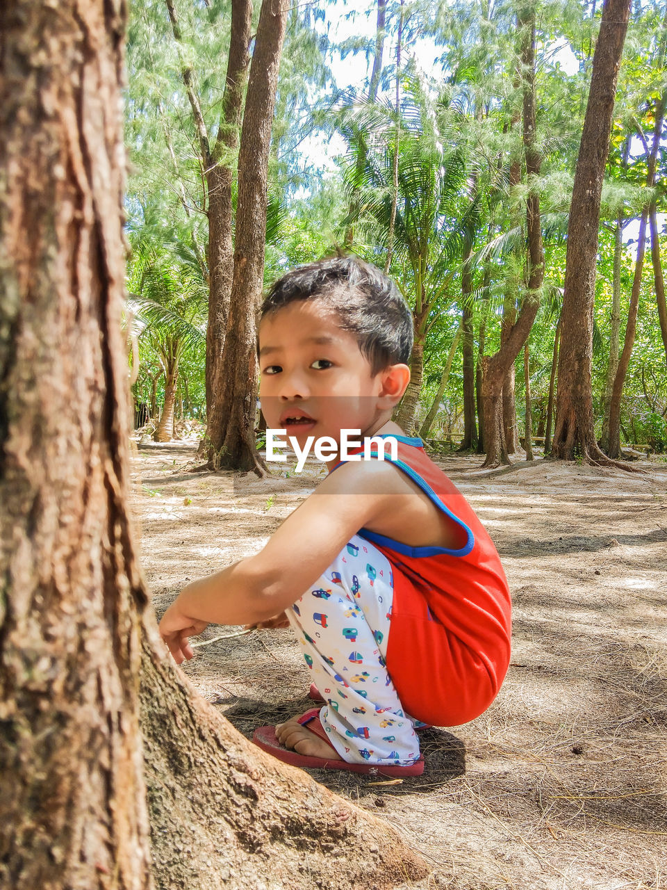 Portrait of cute boy crouching against trees