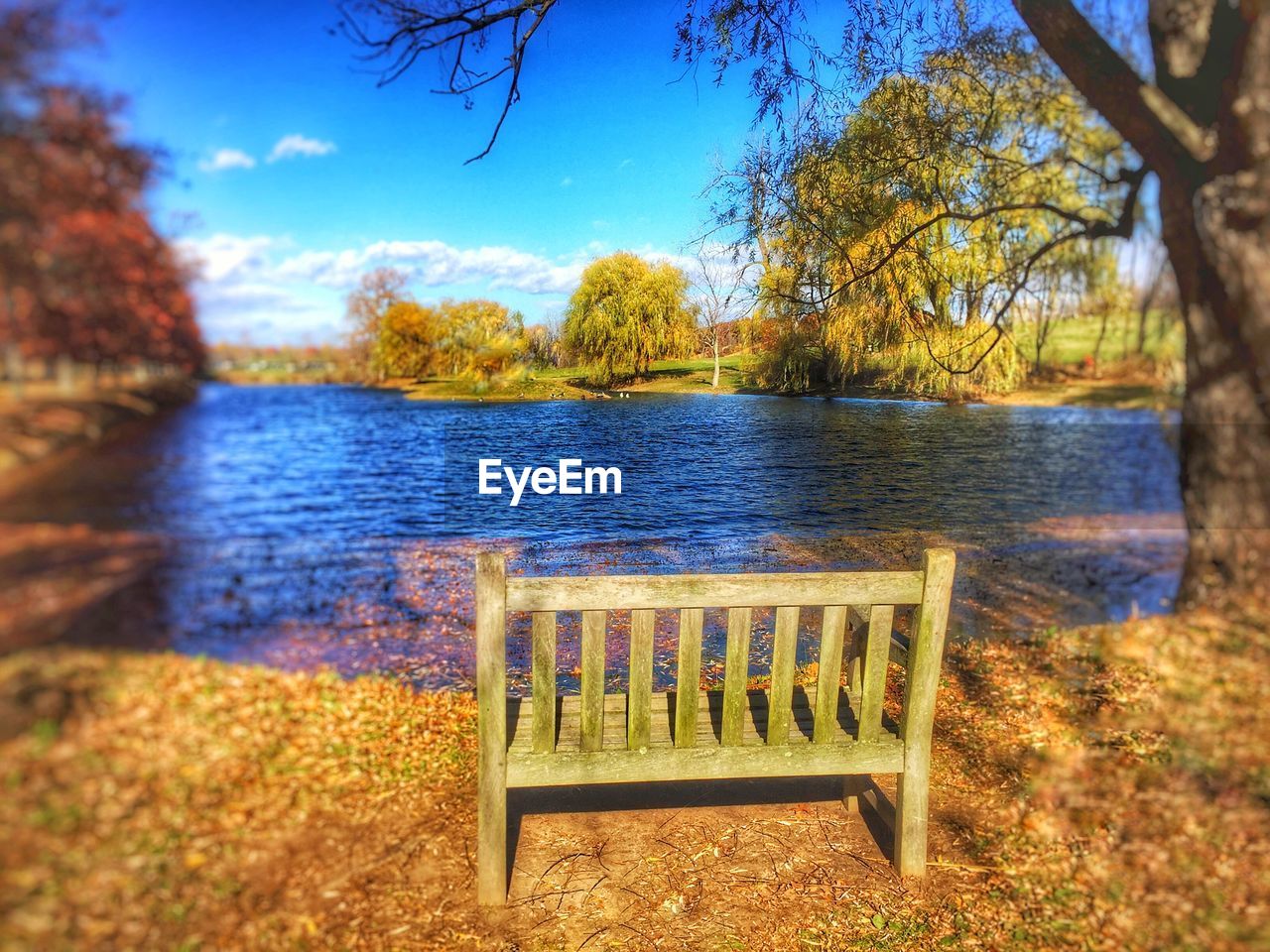 SCENIC VIEW OF LAKE BY TREES