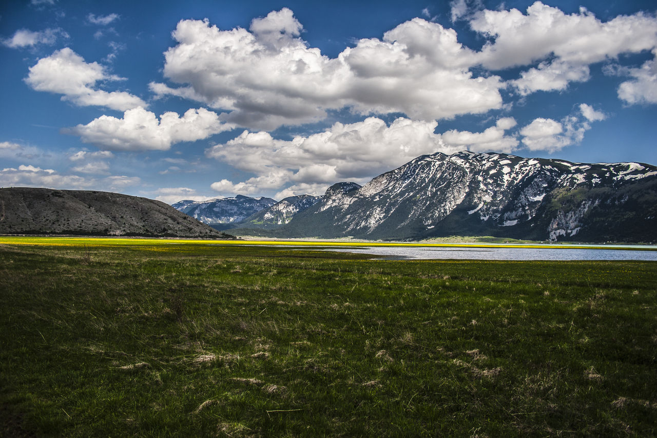 Scenic view of landscape against sky