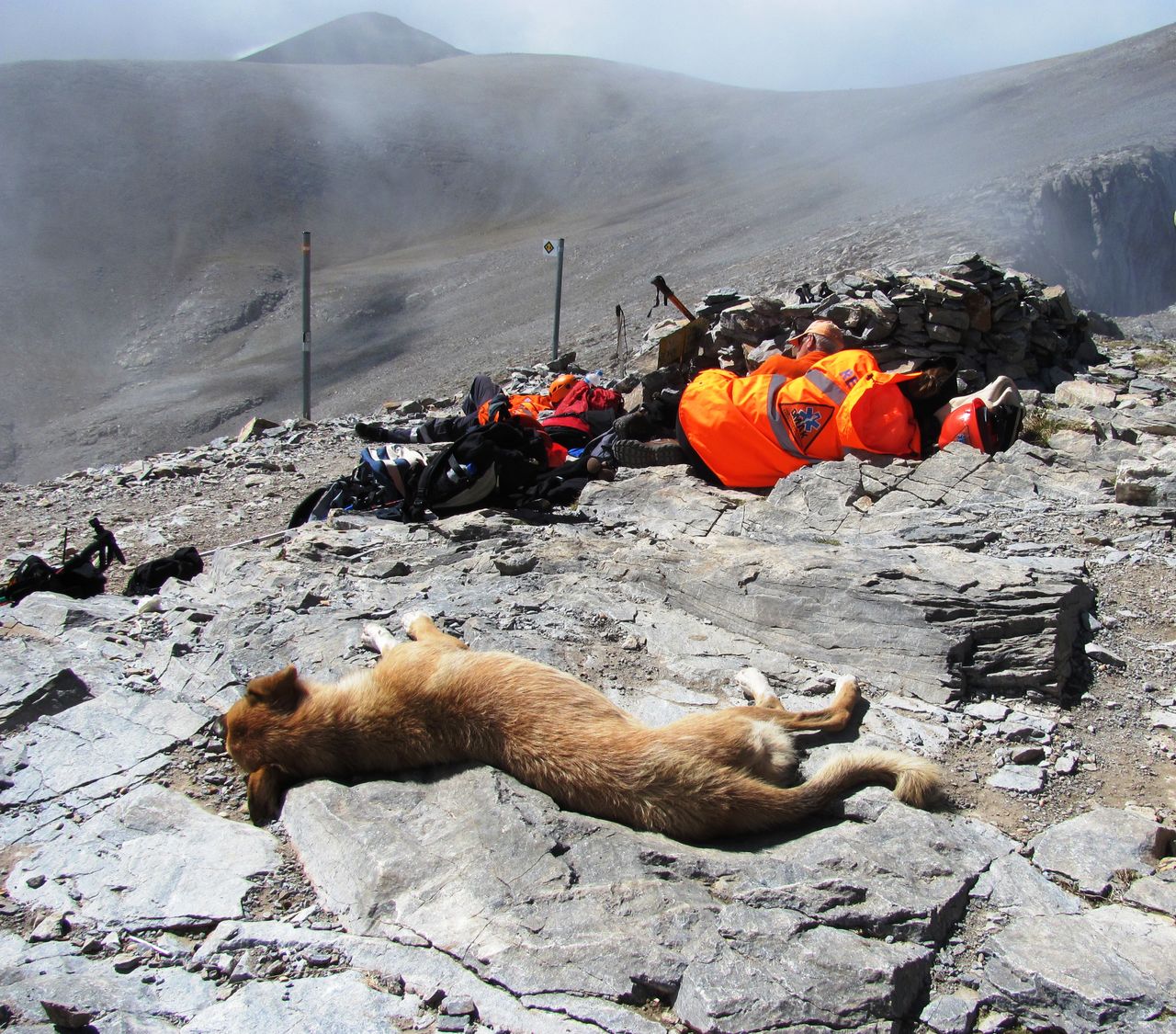 VIEW OF CRAB ON LAND