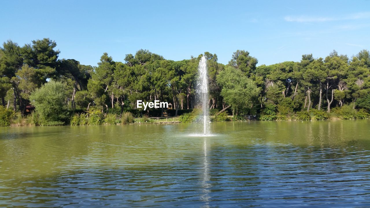 WATERFALL IN FOREST