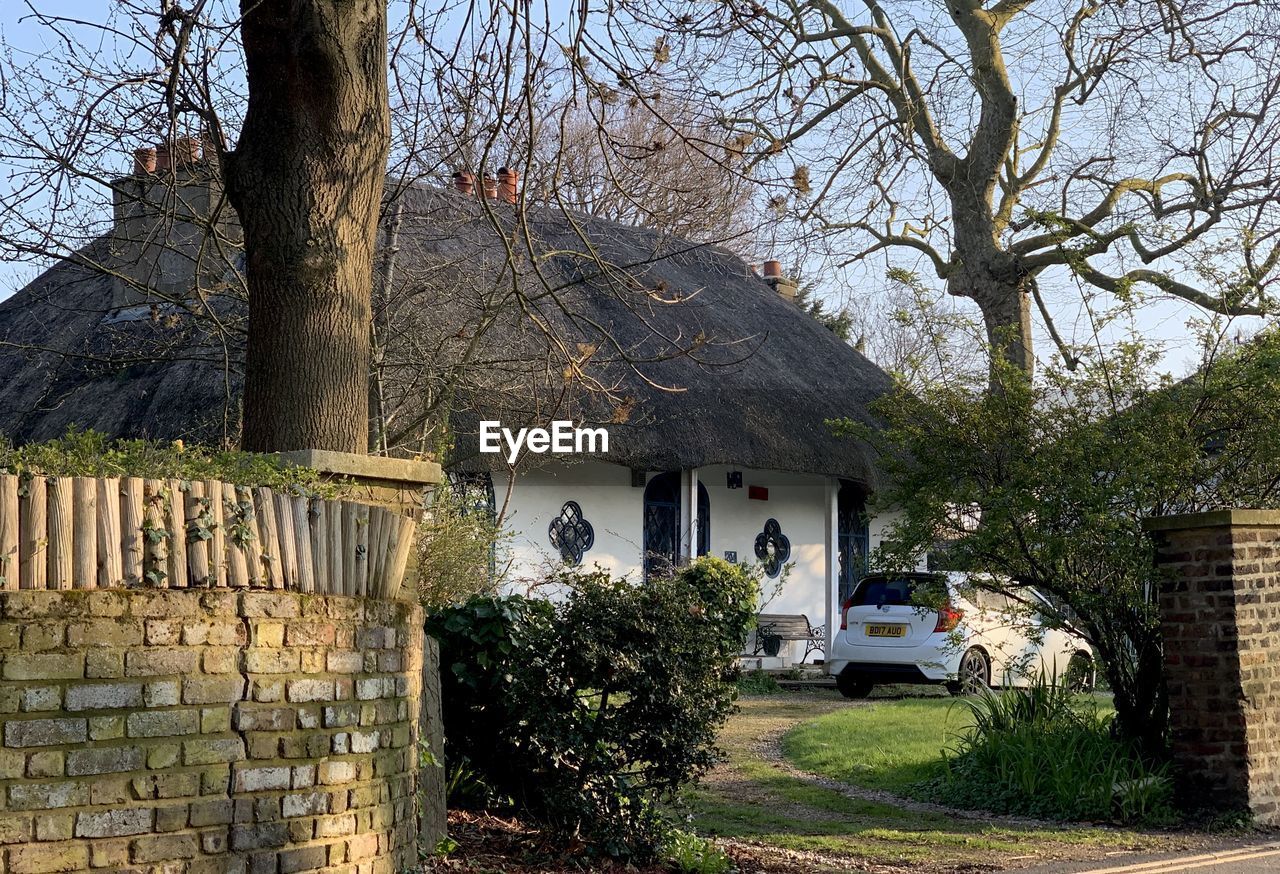 TREES AND BUILDING IN YARD