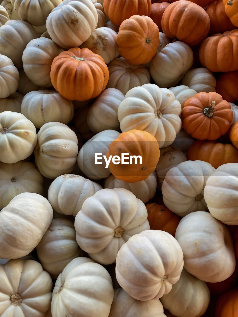 food and drink, food, freshness, vegetable, healthy eating, large group of objects, wellbeing, abundance, no people, produce, pumpkin, backgrounds, full frame, still life, high angle view, raw food, market, retail, day, close-up, organic, ingredient