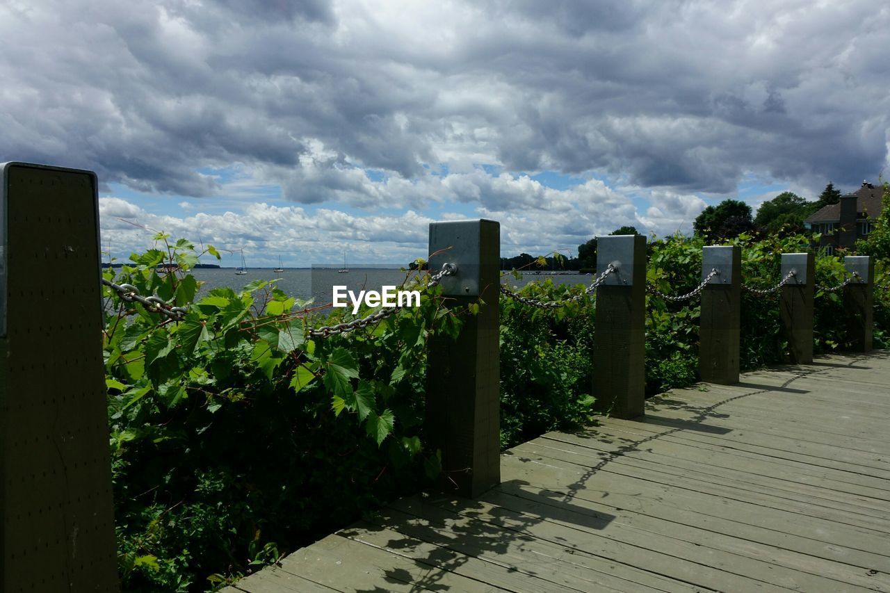 Boardwalk by plants against cloudy sky