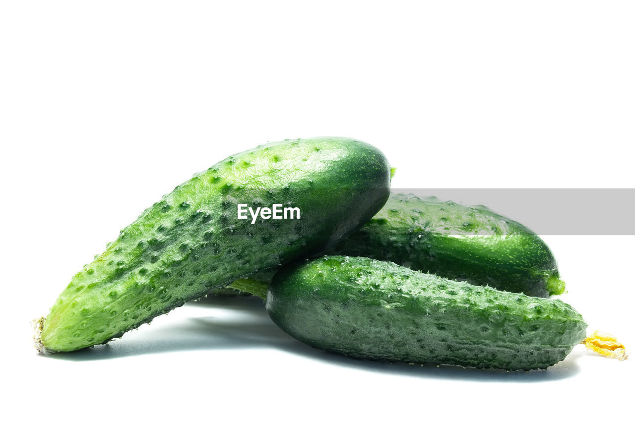 CLOSE-UP OF GREEN FRUITS