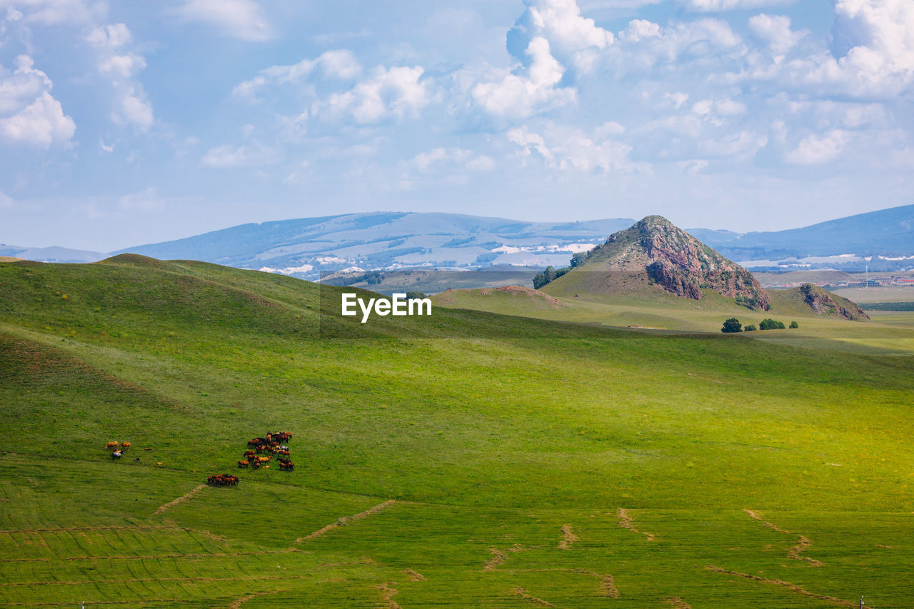 SCENIC VIEW OF GREEN LANDSCAPE AGAINST SKY