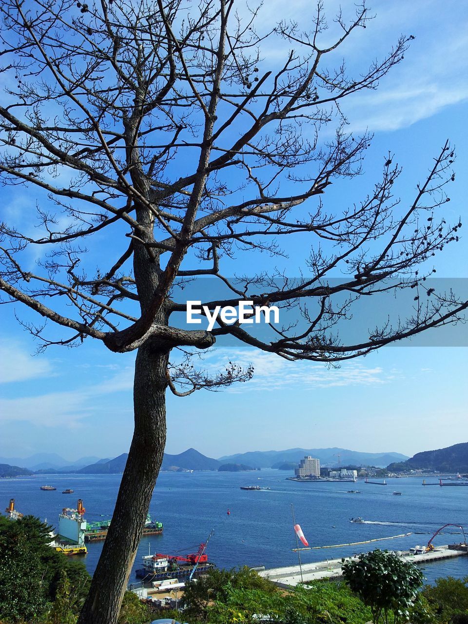 SCENIC VIEW OF SEA WITH TREES IN BACKGROUND