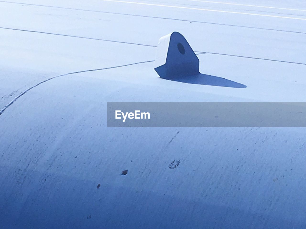 CLOSE-UP OF BIRD AGAINST SKY