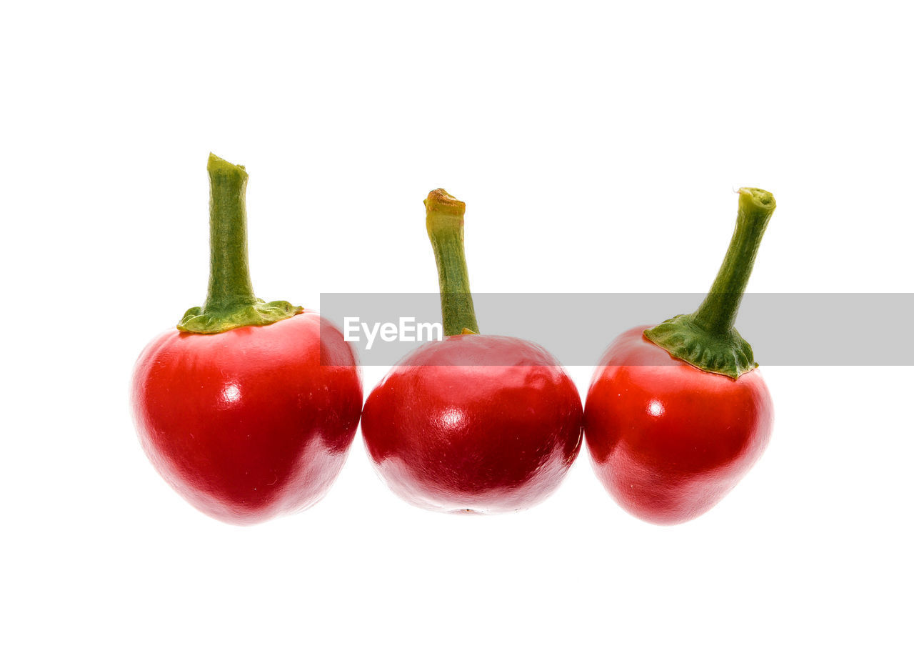 Close-up of red chili peppers against white background