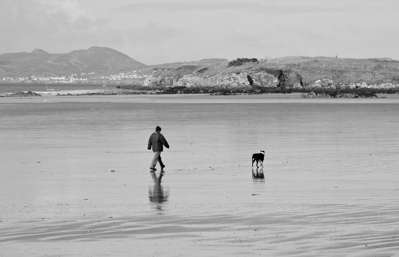 Man and dog walking on beach 