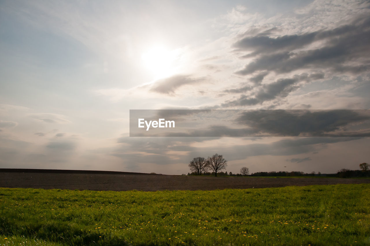 Scenic view of field against sky during sunset