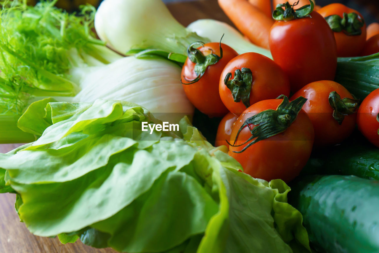 CLOSE-UP OF TOMATOES AND VEGETABLES ON GREEN LEAVES