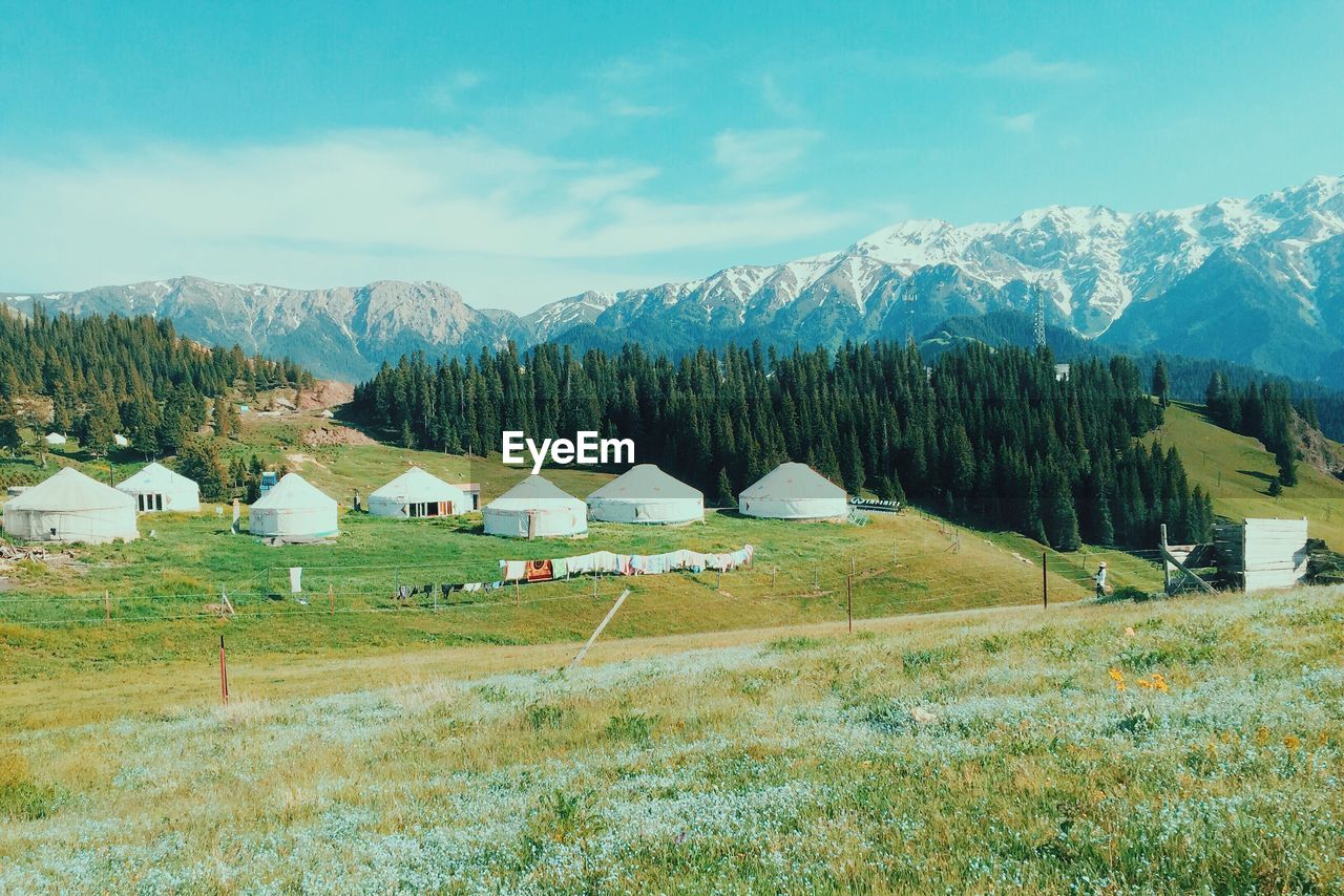 Tents and trees on landscape against mountains