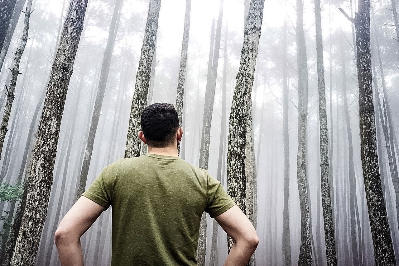 Rear view of man standing by trees in forest during foggy weather