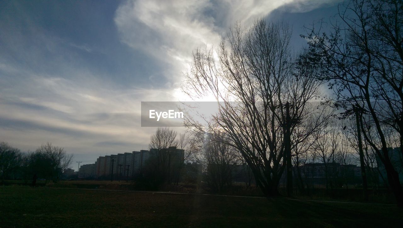 TREES IN PARK AGAINST SKY