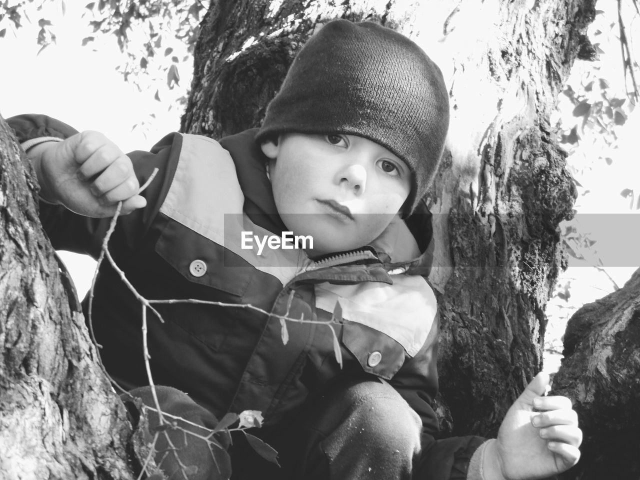 Portrait of boy wearing knit hat by tree