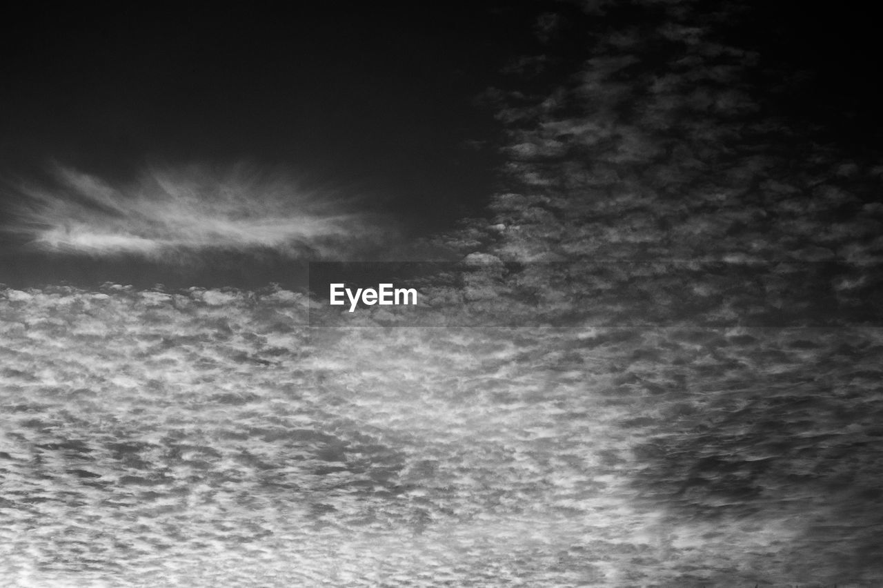 FULL FRAME SHOT OF SNOW COVERED LANDSCAPE