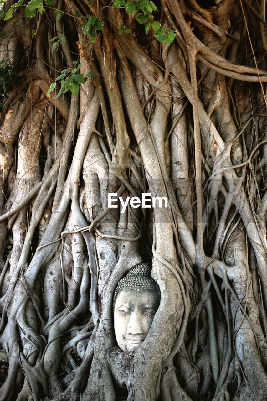 CLOSE-UP OF STATUE OF TREE