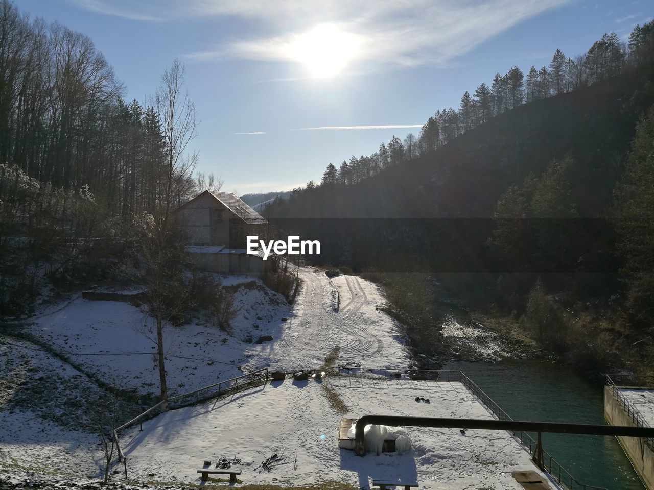 PANORAMIC VIEW OF TREES AND AGAINST SKY