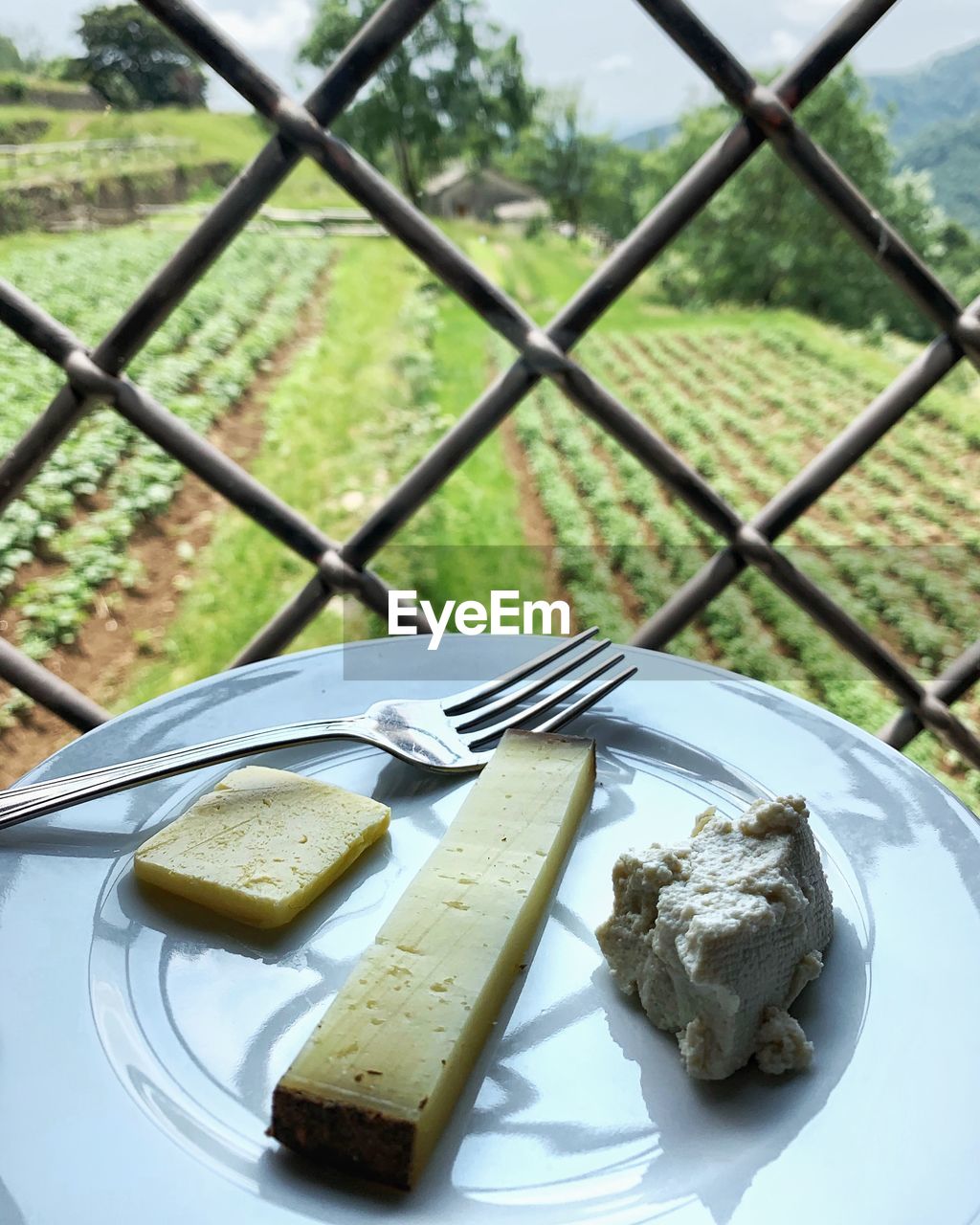 High angle view of food in plate on table, trappa di sordevolo, biella province, italy