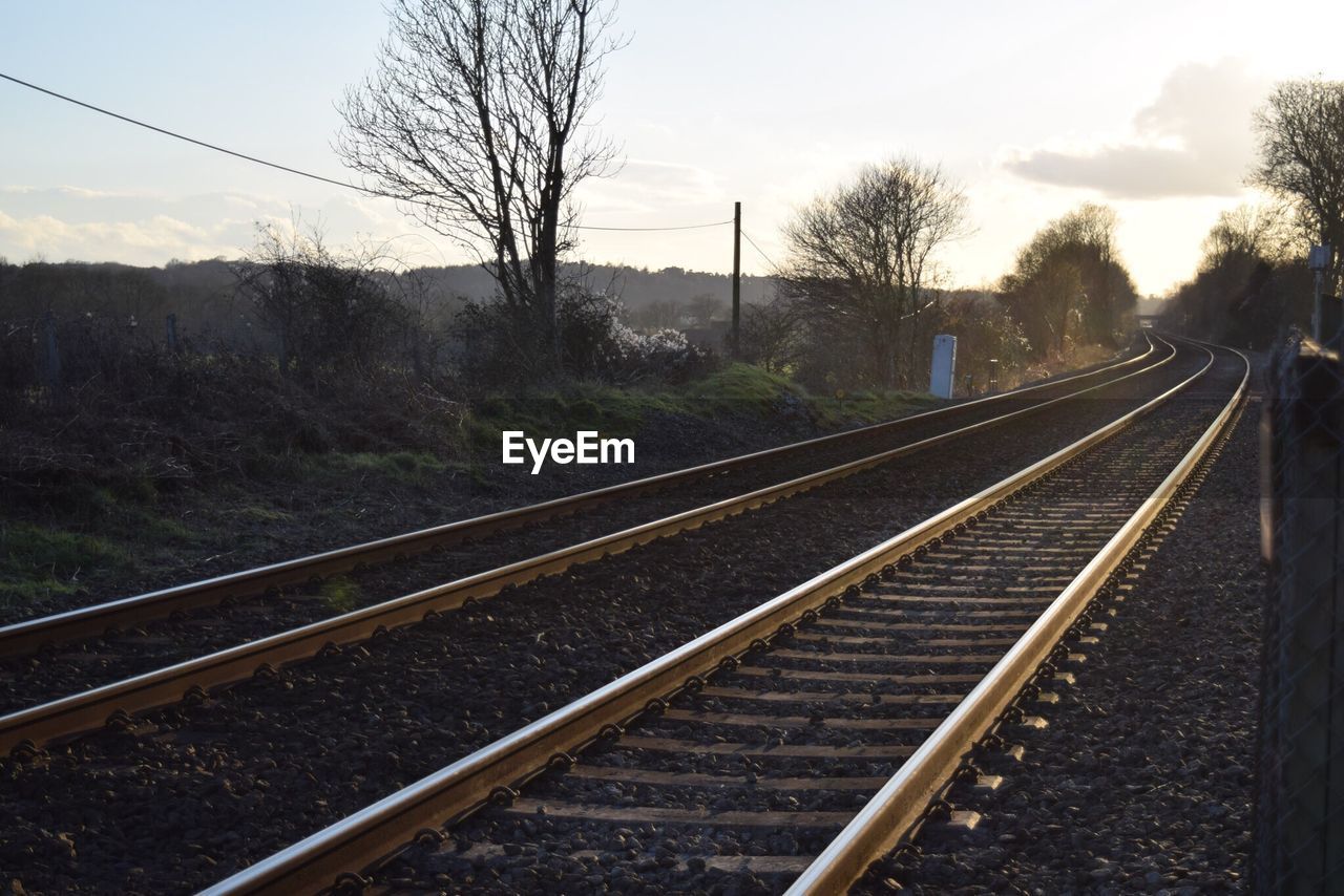 RAILWAY TRACKS BY BARE TREES