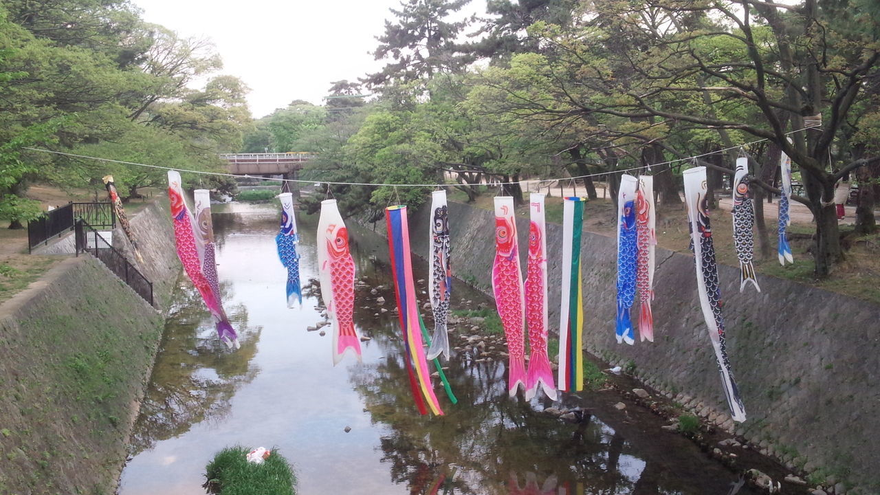 MULTI COLORED FLAGS HANGING ON TREE