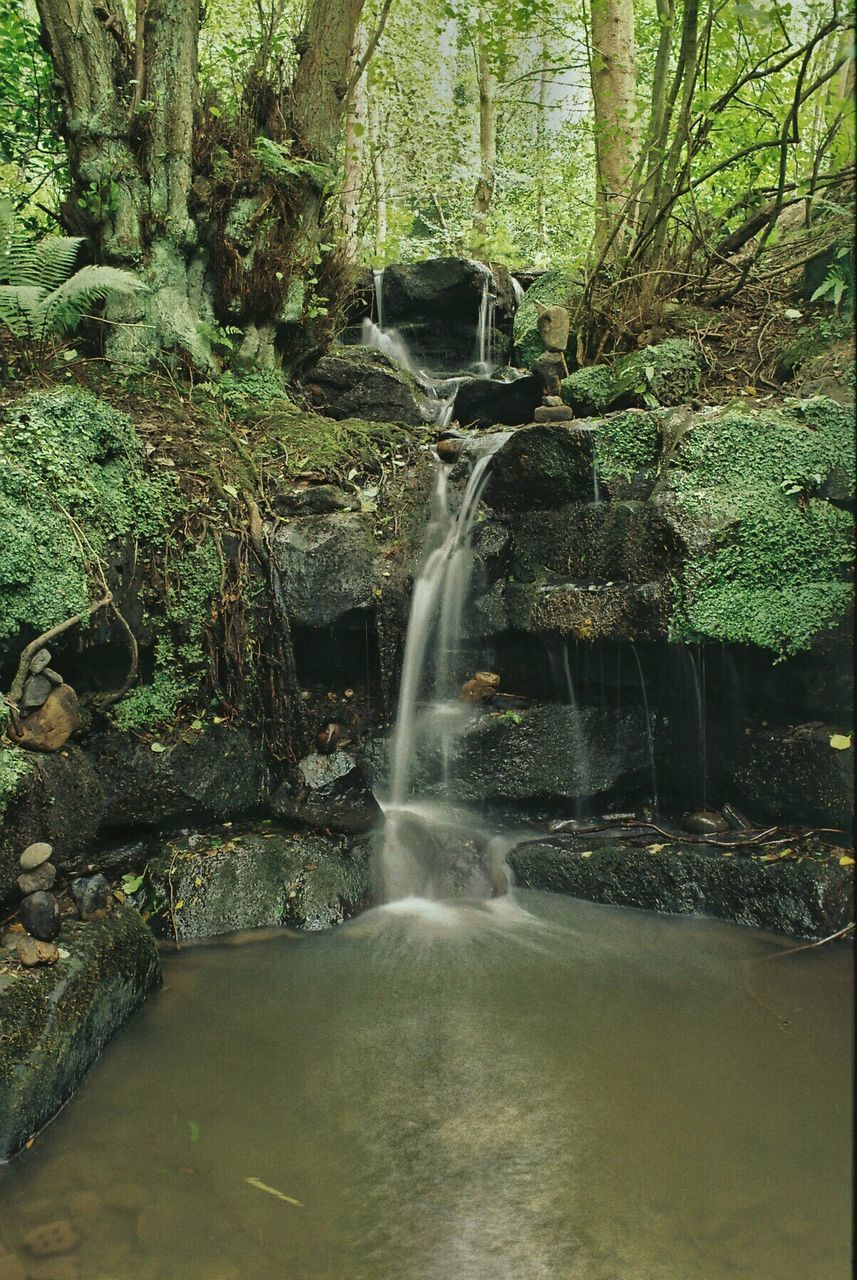 Stream flowing through rocks in forest